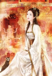 將軍大人,你的夫人掉了