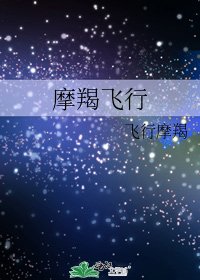 摩羯飛行