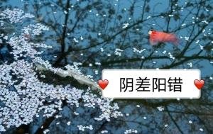 陰差陽錯